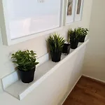 Appartement Like At Peraía